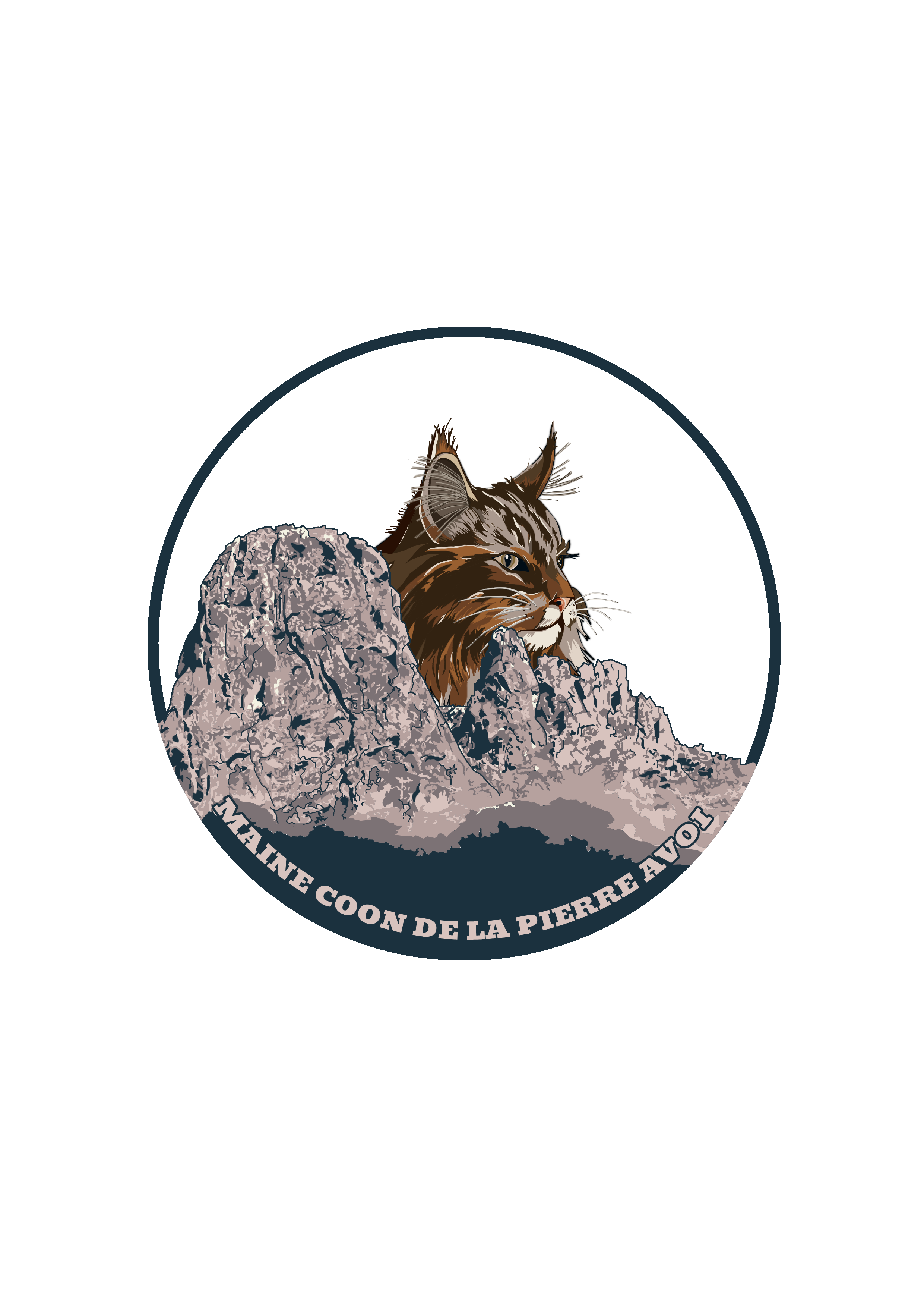 Maine Coon de la Pierre Avoi